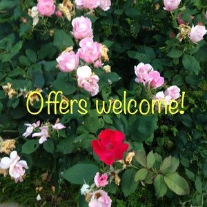 Thanks for stopping by!